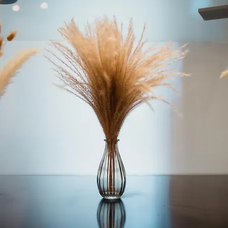 L'ulivo E Il Colibri Apartmán Janov