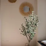 Apartment L'ulivo E Il Colibri *