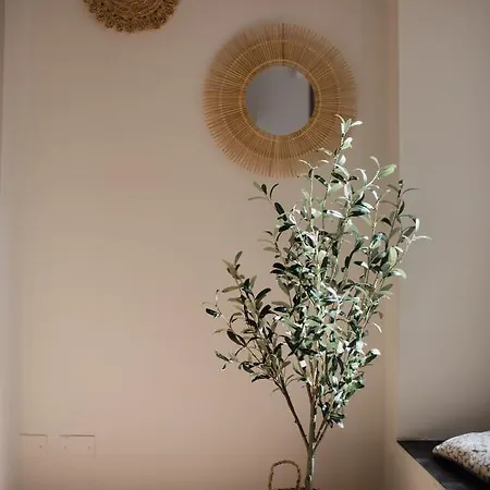 Apartment L'ulivo E Il Colibri *