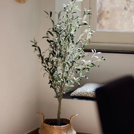 L'ulivo E Il Colibri Appartement *