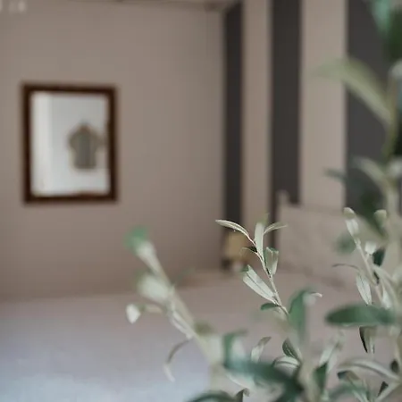 公寓 L'ulivo E Il Colibri