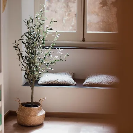 L'ulivo E Il Colibri * Gênes