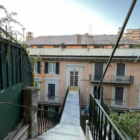L'ulivo E Il Colibri * Genoa