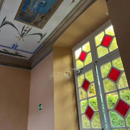 L'ulivo E Il Colibri *