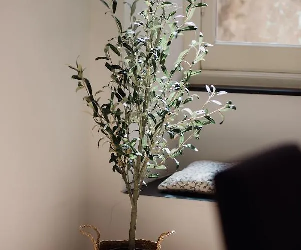 L'ulivo E Il Colibri Διαμέρισμα *