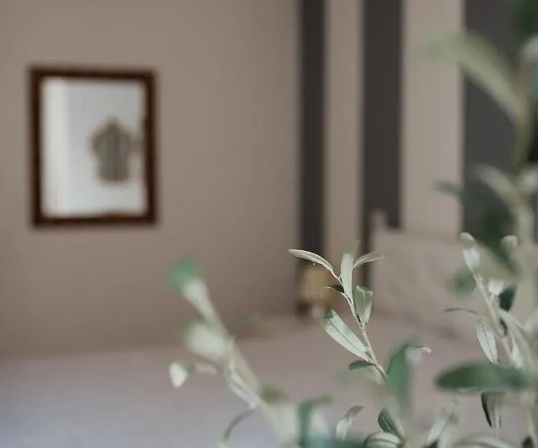 Διαμέρισμα L'ulivo E Il Colibri