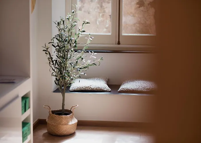 L'ulivo E Il Colibri * Γένοβα