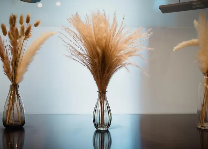 L'ulivo E Il Colibri Διαμέρισμα Γένοβα