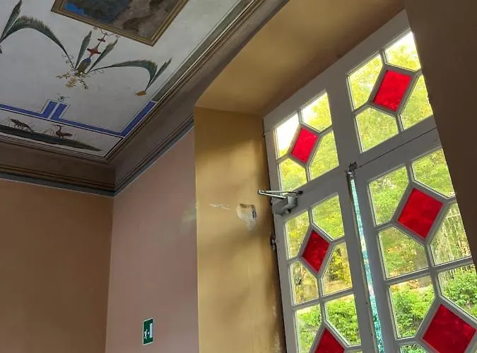 L'ulivo E Il Colibri *