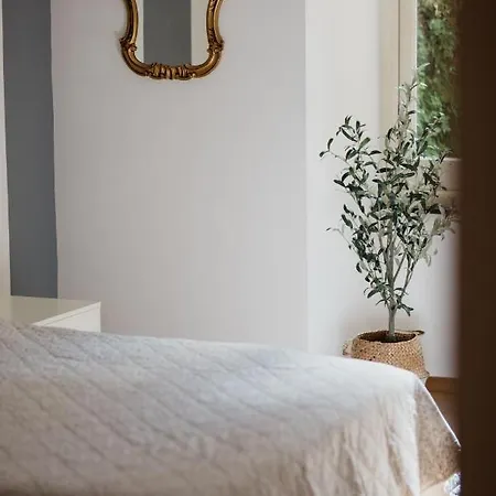 Apartamento L'ulivo E Il Colibri