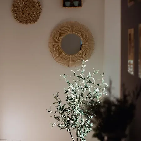 Apartamento L'ulivo E Il Colibri *